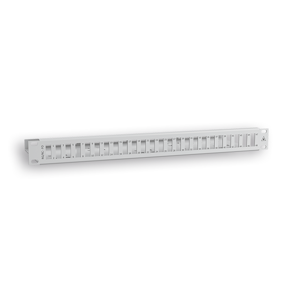 RAQUITED 19